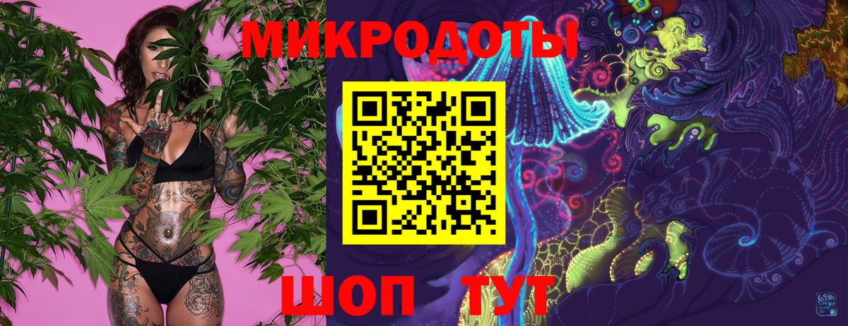 Псилоцибиновые грибы Psilocybe Алатырь