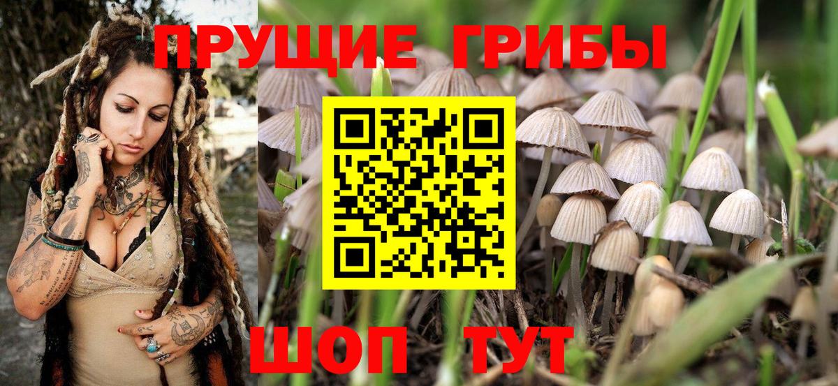 Галлюциногенные грибы прущие грибы  Галлюциногенные грибы GOLDEN TEACHER  Алатырь  Вход с VPN 